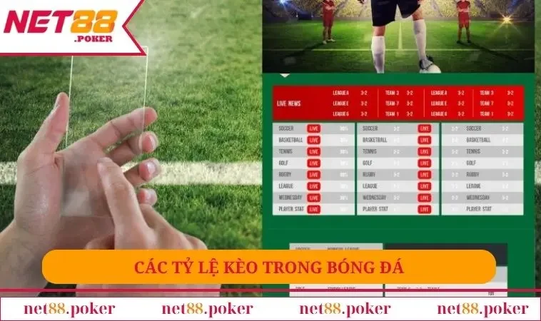 Các Tỷ Lệ Kèo Trong Bóng Đá