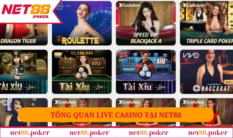 Live Casino NET88 1 Tổng quan live casino tại NET88