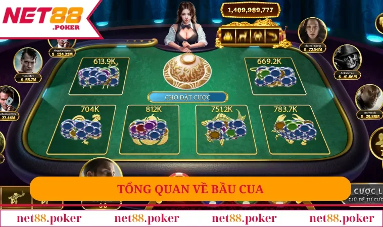 Tổng quan về bầu cua